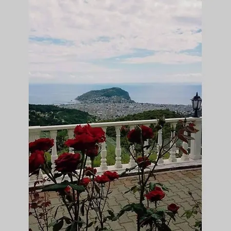 Bektas Seaview 3 1 For Rent *